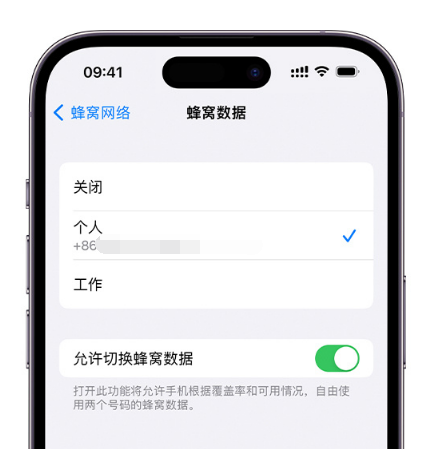 阜新苹果维修服务分享如何在iPhone上使用双卡 